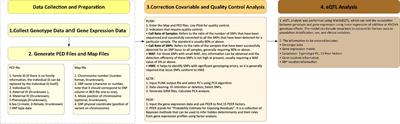 Identifying cancer tissue-of-origin by a novel machine learning method based on expression quantitative trait loci